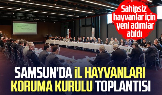 Samsun'da önemli toplantı: Sahipsiz hayvanlar için yeni adımlar atıldı