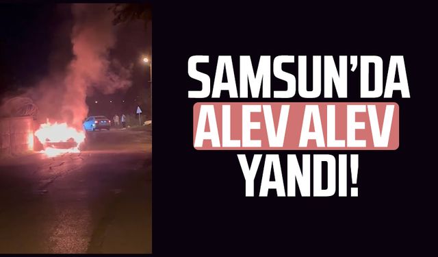 Samsun İlkadım'da otomobil alevlere teslim oldu!