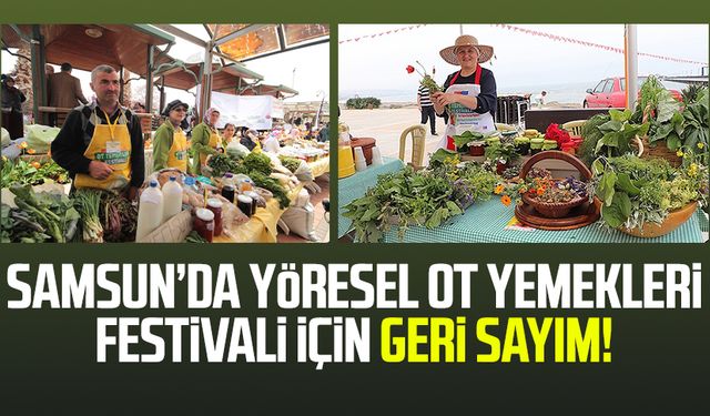 Samsun’da Yöresel Ot Yemekleri Festivali için geri sayım!
