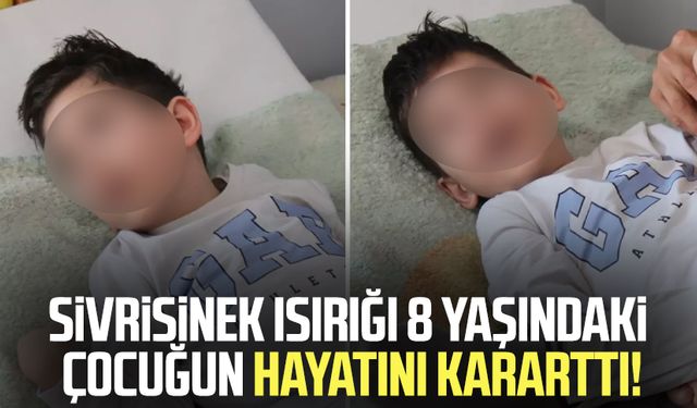 Sivrisinek ısırığı 8 yaşındaki çocuğun hayatını kararttı!