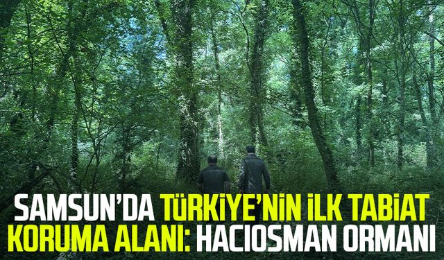 Samsun’da Türkiye’nin ilk tabiat koruma alanı: Hacıosman Ormanı