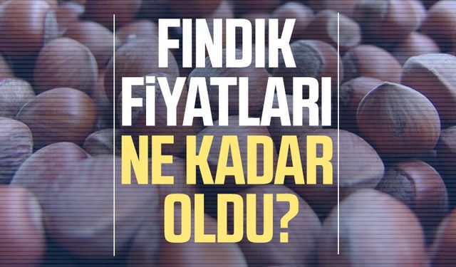 Samsun fındık fiyatları 17 Ağustos 2026: Kaç TL oldu?