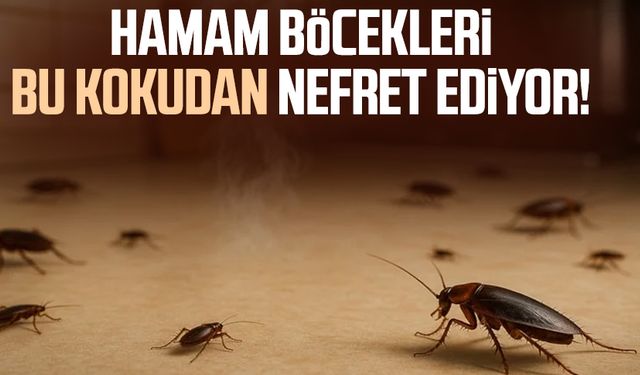 Hamam böcekleri bu kokudan nefret ediyor!