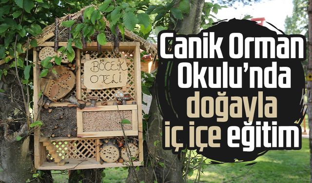 Canik Orman Okulu’nda doğayla iç içe eğitim