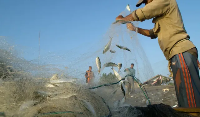 Alaçam’da Balıkçı Kültürü ve Kıyı Kasabası Yaşamı