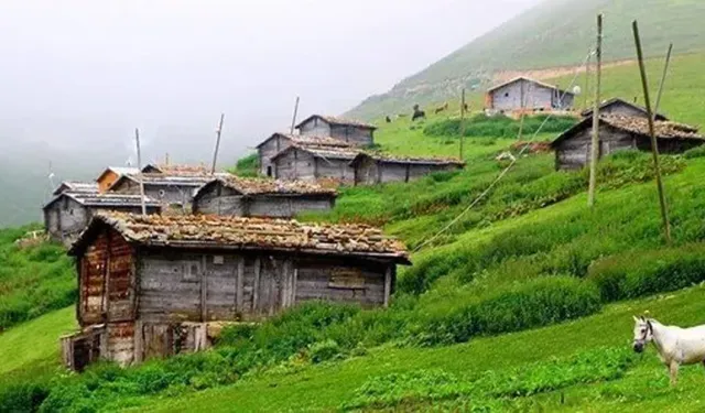 Asarcık’ta Doğal Yaşam, Organik Ürünler ve Sessiz Tatil Deneyimi
