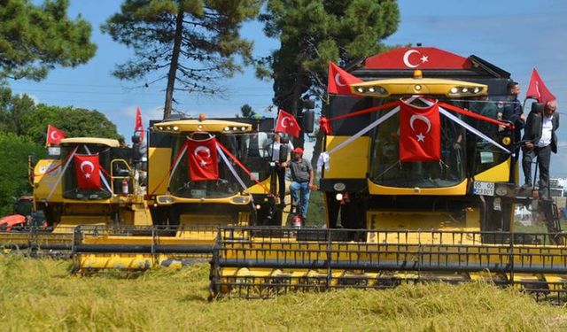 Samsun’da Ekim Hasat ve Festivaller