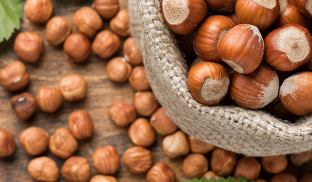 Kadın Kooperatiflerinden Sofraya: Ayvacık, Salıpazarı ve Havza