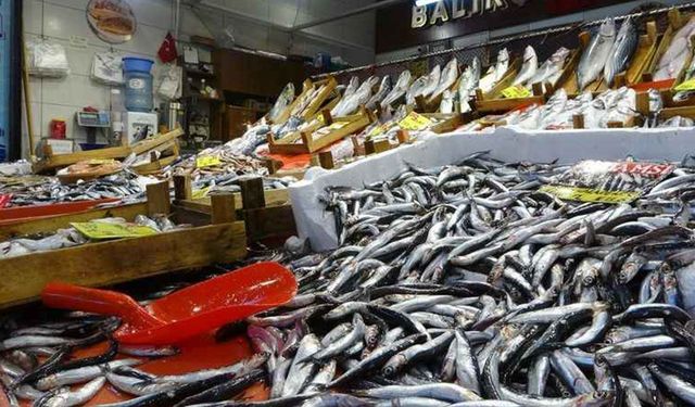 Samsun’da Karadeniz Balıkları ve Mevsim Rehberi