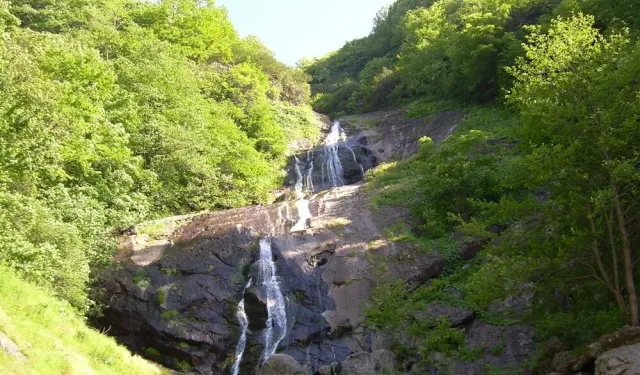 Salıpazarı Gezi Rehberi: Şelaleler ve Fındık Bahçeleri