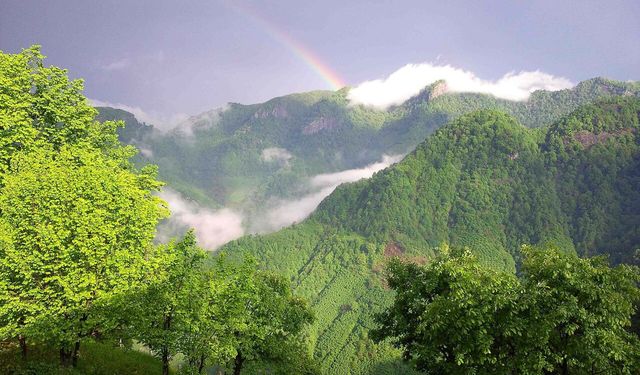 Salıpazarı’nda Fındık Bahçeleri Arasında Sonbahar Fotoğraf Turu
