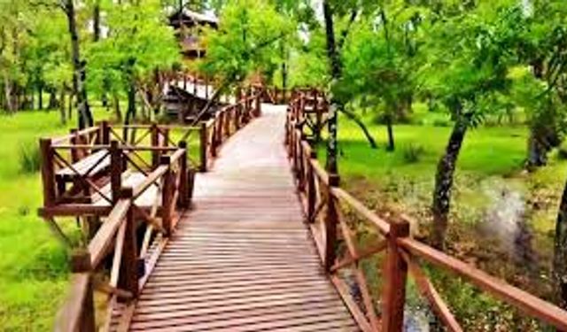 19 Mayıs İlçesi Gezi Rehberi: Kızılırmak Kıyısı, Doğa Yolları ve Sakin Rotalar