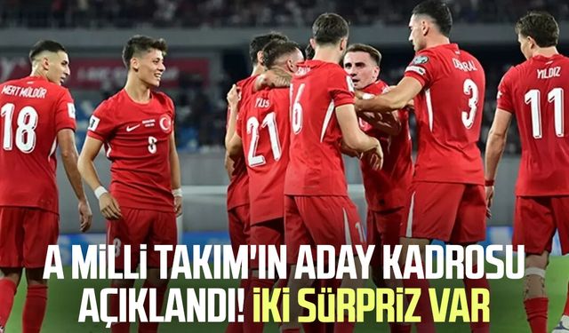 A Milli Takım'ın aday kadrosu açıklandı! İki sürpriz var