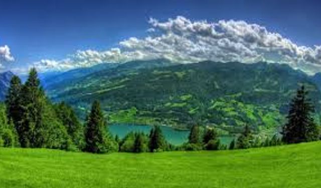 Samsun’da Şehrin Havasını Temizleyen En Yeşil Noktalar