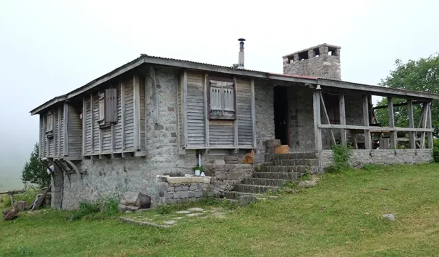 Asarcık Yaylalarında Doğal Yaşam