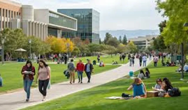 Samsun’da Öğrenci Şehri Olmanın Getirdiği Renkli Sosyal Hayat