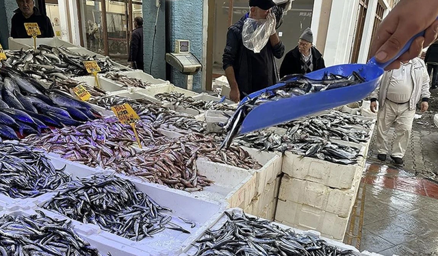 Alaçam’da Balıkçılığın Günlük Hayattaki Yeri