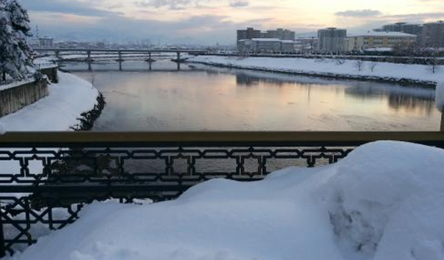 Çarşamba Ovası’nda Kış Manzaraları: Tarımın Beyaz Sezonu