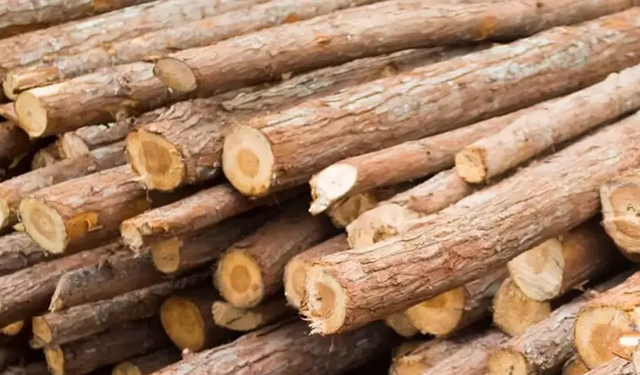 Asarcık Köylerinde Kış Hazırlıkları ve Geleneksel Dayanışma