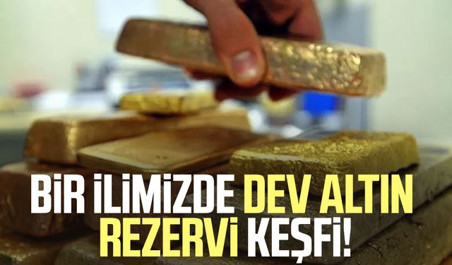 Bir ilimizde dev altın rezervi keşfi!