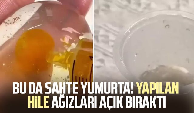 Bu da sahte yumurta! Görüntüler şaşkına çevirdi