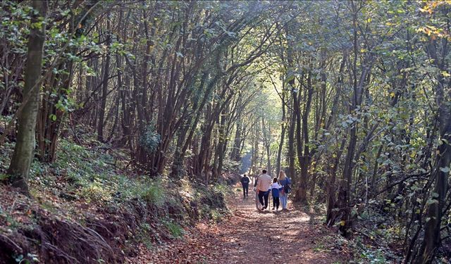 Canik’te Doğa ve Şehir Yaşamı: Kültürel Duraklar