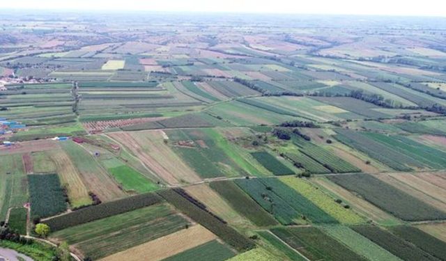 Çarşamba Ovası: Tarım ve Kırsal Yaşamın İzleri