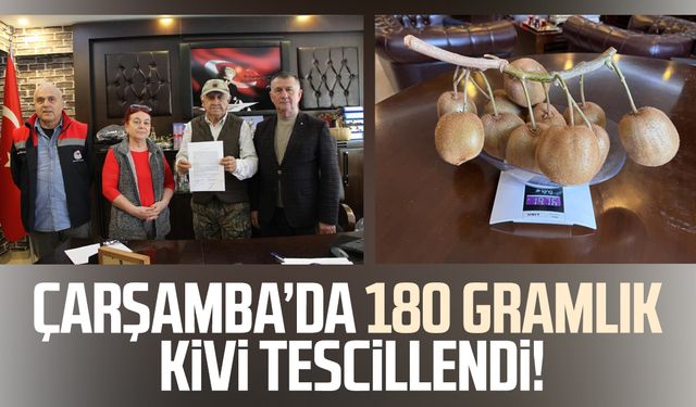 Çarşamba’da 180 gramlık kivi tescillendi!