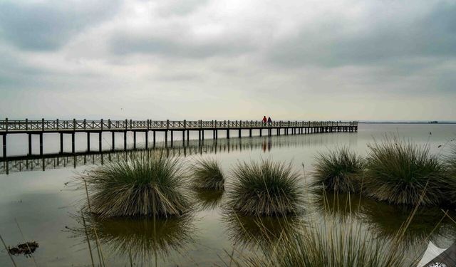 Bafra Kızılırmak Deltası Kuş Cenneti ve Doğal Güzellikler