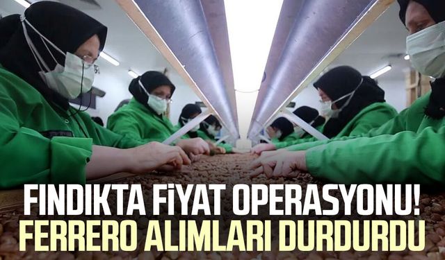 Fındıkta fiyat operasyonu! Ferrero alımları durdurdu