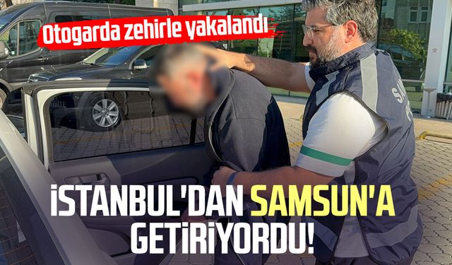 İstanbul'dan Samsun'a getiriyordu! Zehirle yakalandı