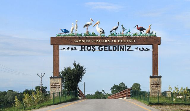 Bafra Kızılırmak Deltası ve Kuş Cenneti Gezi Rehberi
