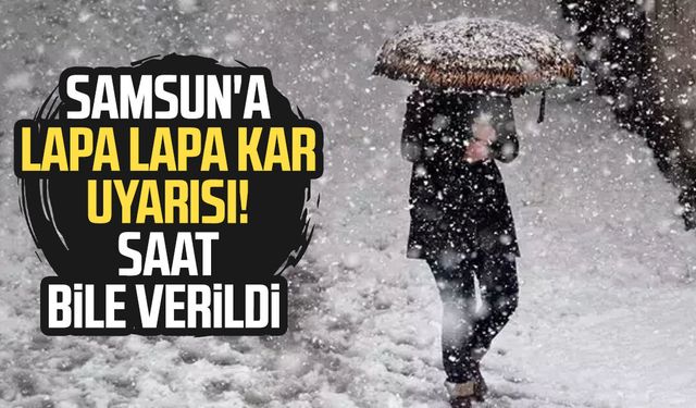 Samsun'a lapa lapa kar uyarısı! Saat bile verildi