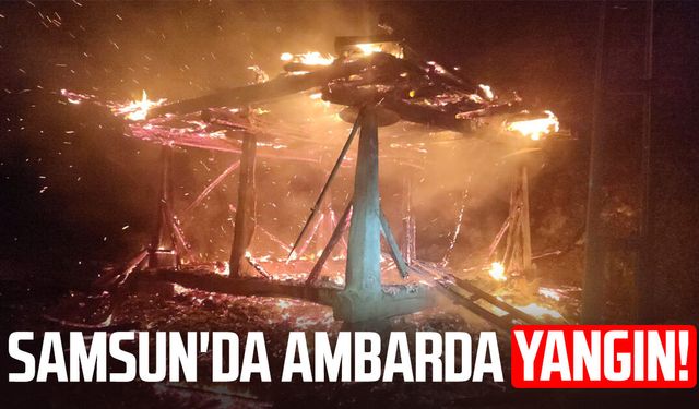 Samsun'da ambarda korkutan yangın!