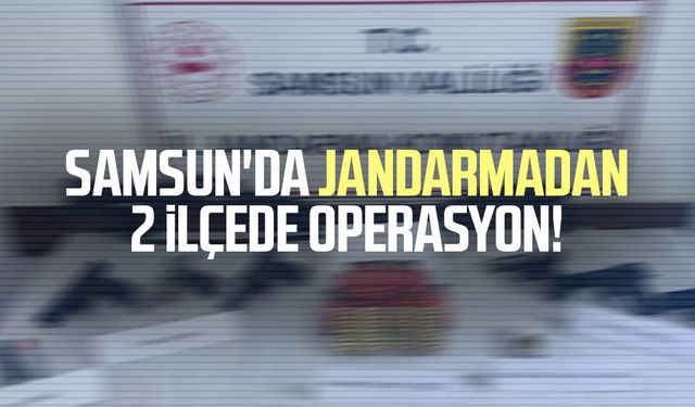 Samsun'da jandarmadan 2 ilçede operasyon!