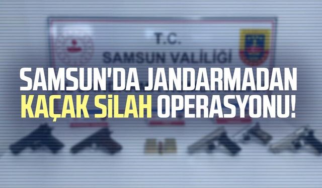 Samsun'da jandarmadan kaçak silah operasyonu!