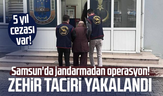 Samsun'da jandarmadan operasyon! Zehir taciri yakalandı
