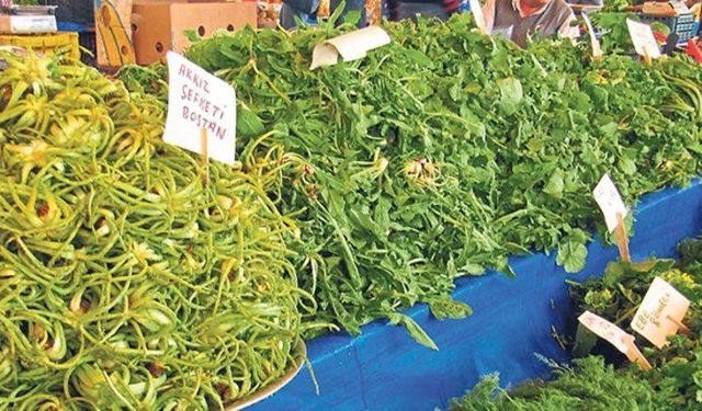 Samsun’da Doğadan Toplanan Otların Yemeklerde Kullanımı