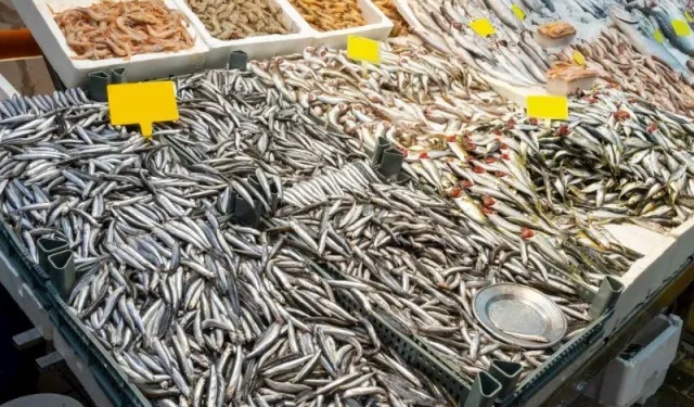 Samsun’da Balık Mevsimleri ve Mutfak Kültürü