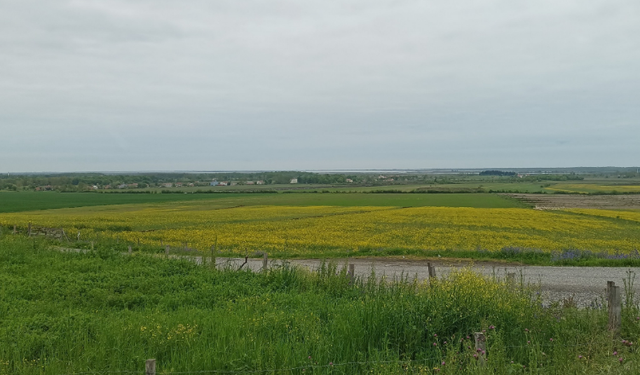 Çarşamba Ovası’nın Yerleşim Kültürüne Etkisi