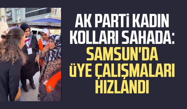 AK Parti Kadın Kolları sahada: Samsun'da üye çalışmaları hızlandı