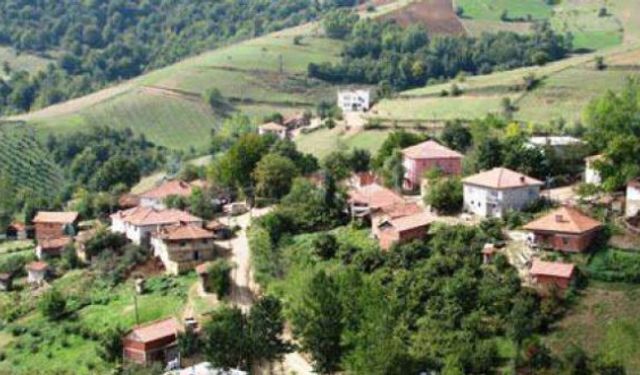 Asarcık’ta yaşam: kırsal hayat, tarım ve kültür