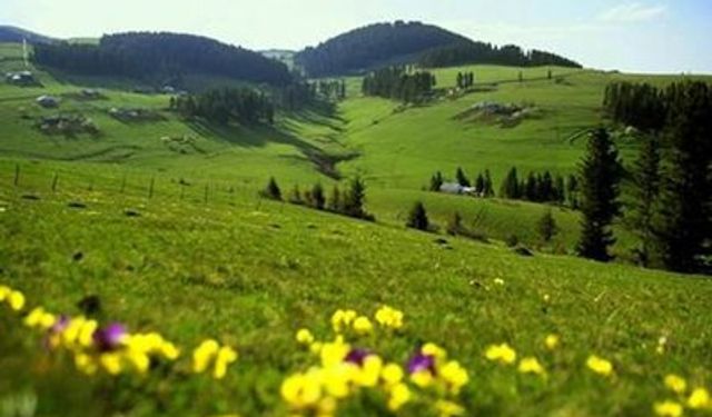 Asarcık’ın Yaylaları ve Doğa Rotaları