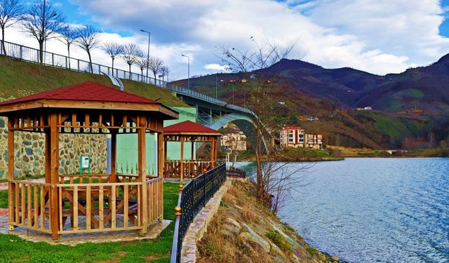 Ayvacık’ta Göl Çevresinde Oluşan Doğal Yaşam Düzeni