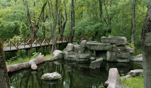 Bafra’da Doğal Güzellikler ve Piknik Alanları