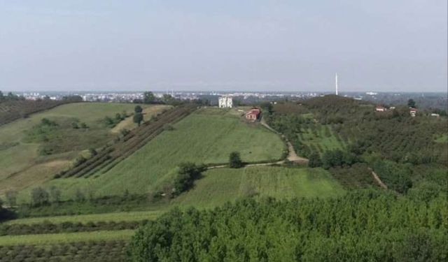 Çarşamba’nın Verimli Topraklarının Kültürel Yaşama Etkisi