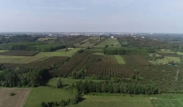 Çarşamba Ovası’nın Yerleşim Kültürüne Etkisi