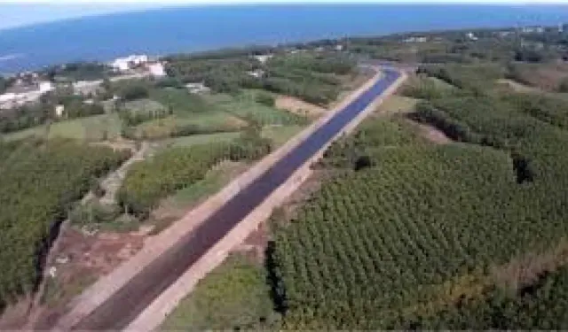 Çarşamba Ovası ve İlçesi: Tarım, Ekonomi ve Günlük Yaşam