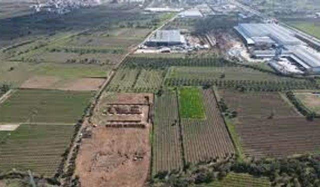 Çarşamba’da Tarımsal Üretimin Sosyal Hayata Yansımaları