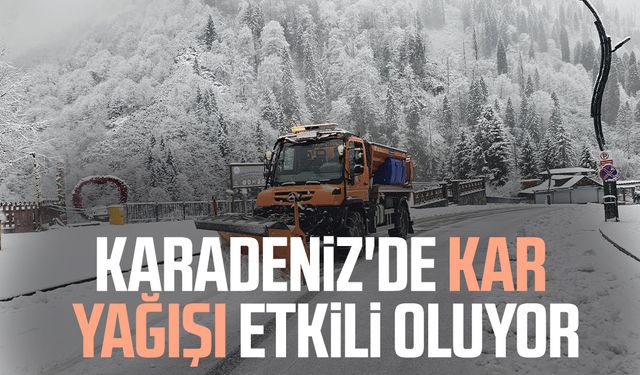 Karadeniz'de kar yağışı etkili oluyor